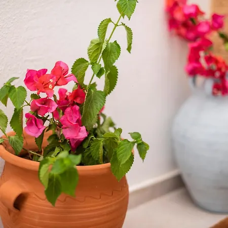 Manolis And Anna's House Apartment *