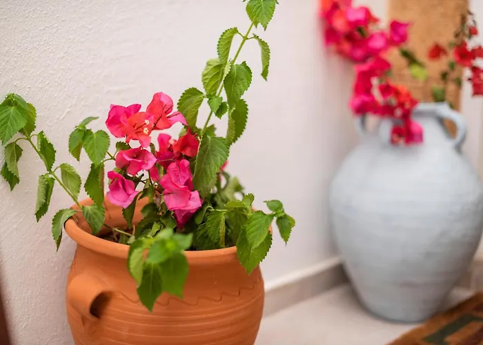 Manolis And Anna's House Lägenhet *